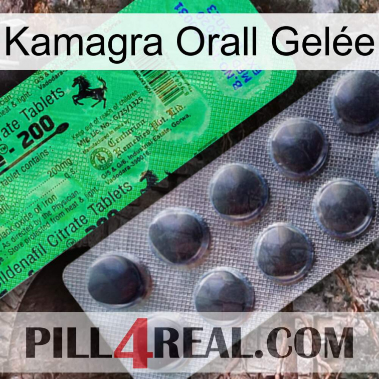 Kamagra Orall Gelée new04